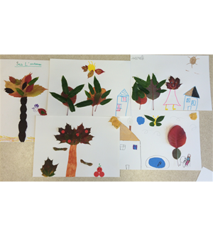 feuilles 2   1